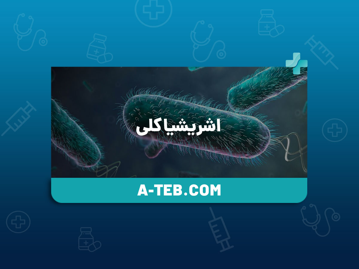 اشریشیا کلی