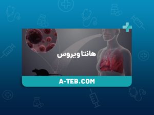 هانتا ویروس