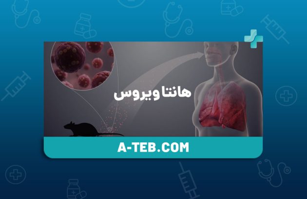 هانتا ویروس