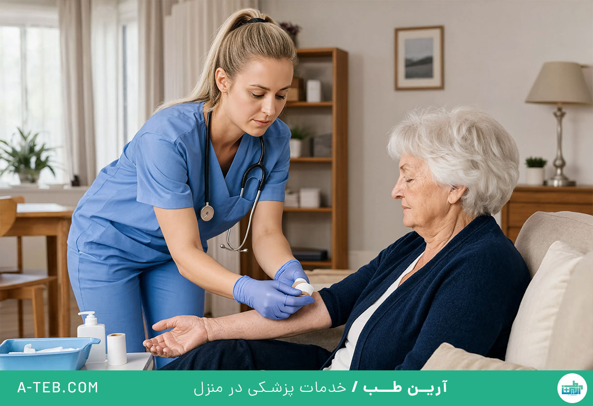 پرستار در منزل میرزای شیرازی