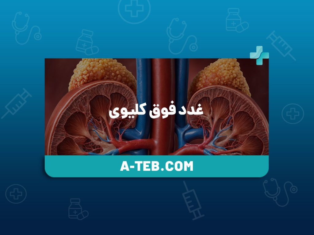 غدد فوق کلیوی