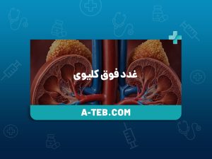 غدد فوق کلیوی