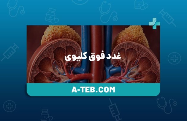 غدد فوق کلیوی