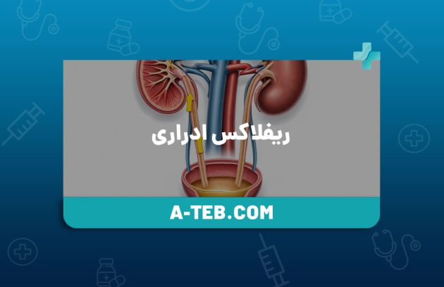 ریفلاکس ادراری
