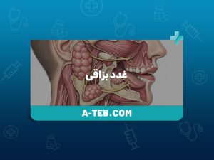غدد بزاقی