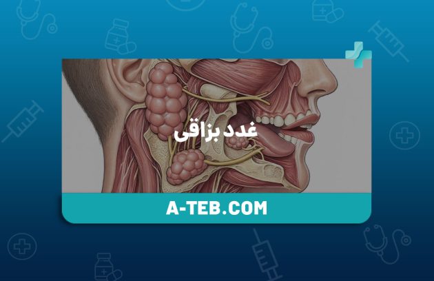 غدد بزاقی