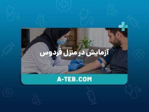 آزمایش در منزل فردوس