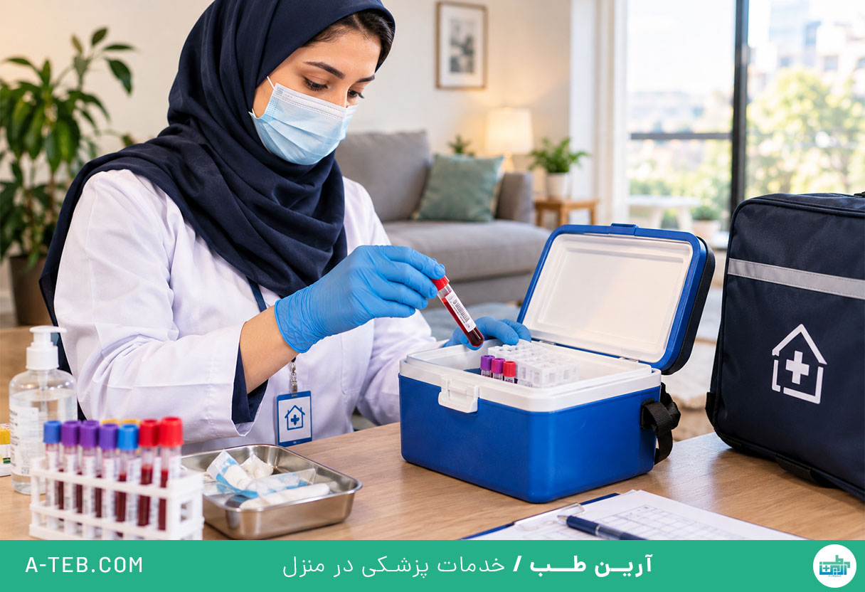 آزمایش در منزل ولنجک
